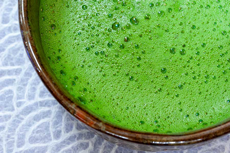 Matcha (Hot)